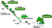 在来木本種での道路法面緑化の提案
