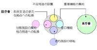 合併市町村における公共施設再配置計画